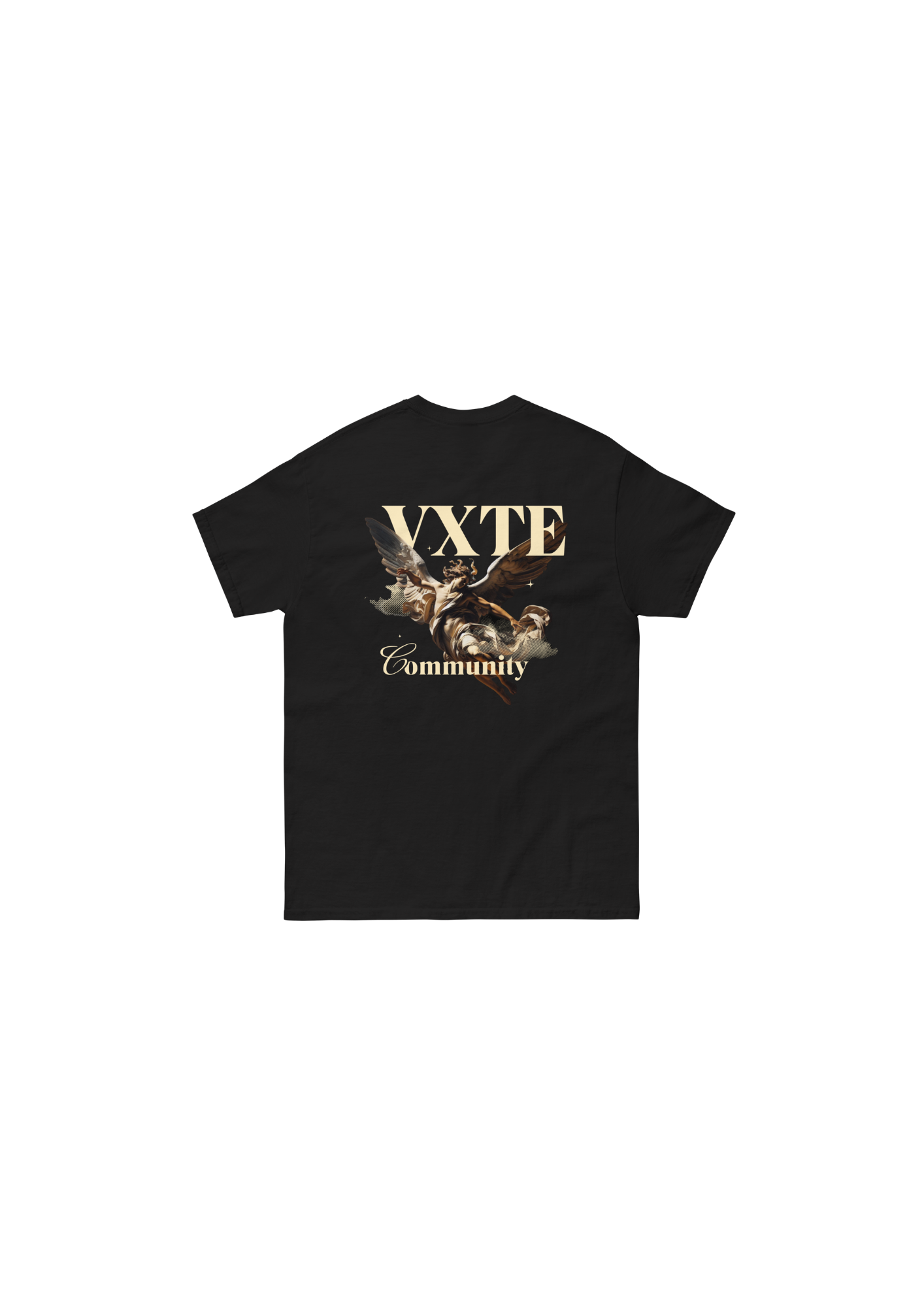 The Fallen Canvas VXTE Tee