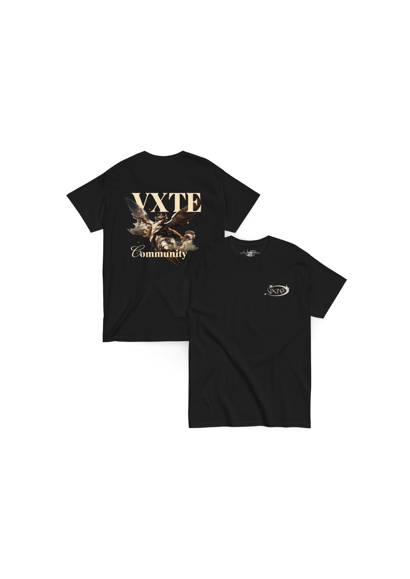 The Fallen Canvas VXTE Tee